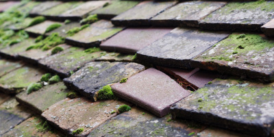 Washbrook roof repair costs